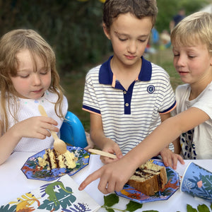 Animals Party Plates - Pooka Party