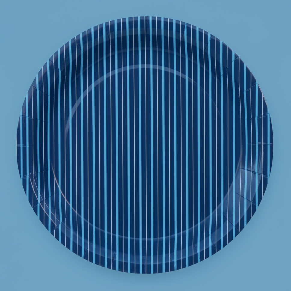 Light blue and Navy Blue paper plates top view - Pooka Party