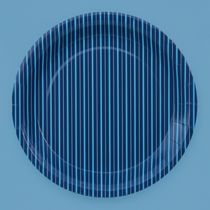 Light blue and Navy Blue paper plates top view - Pooka Party