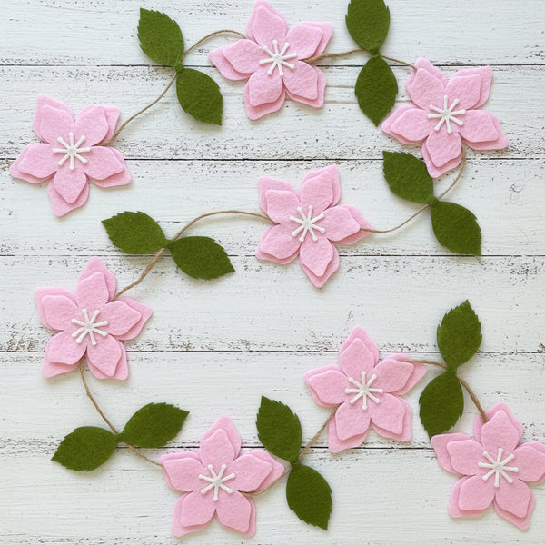 Cat Ballerina Party Supplies in a Box - Pooka Party